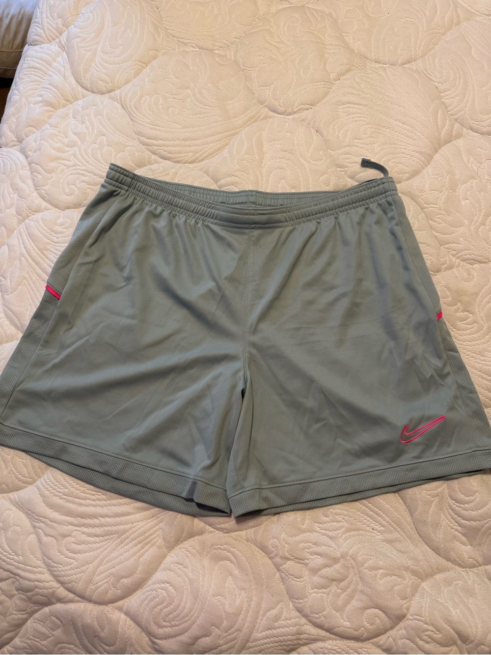 VGUC! Women’s Nike Dri Fit Shorts Size L